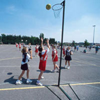 Netball Posts